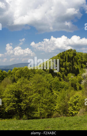 Berglandschaft im Mai. Beskiden, Polen. Stockfoto