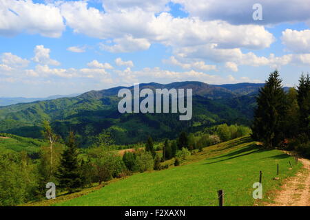 Berglandschaft im Mai. Beskiden, Polen. Stockfoto