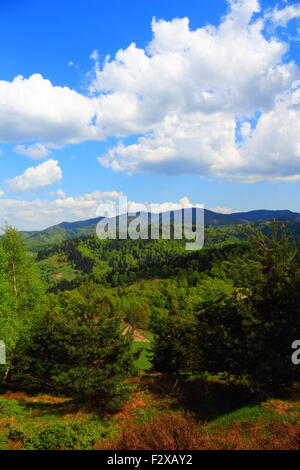 Berglandschaft im Mai. Beskiden, Polen. Stockfoto