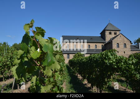 Basilika Sankt Aegidius in Oestrich-Winkel, Deutschland Stockfoto