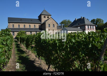 Basilika Sankt Aegidius in Oestrich-Winkel, Deutschland Stockfoto