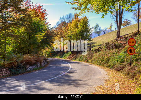 Herbstliche Landschaft mit Strasse und schöne farbige Bäume in den Karpaten. Siebenbürgen, Rumänien. Europa. Stockfoto