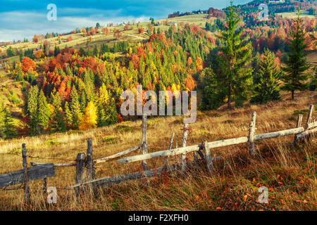 Bunter Herbst Landschaft Szene mit Zaun in Siebenbürgen Berg-Rumänien Stockfoto