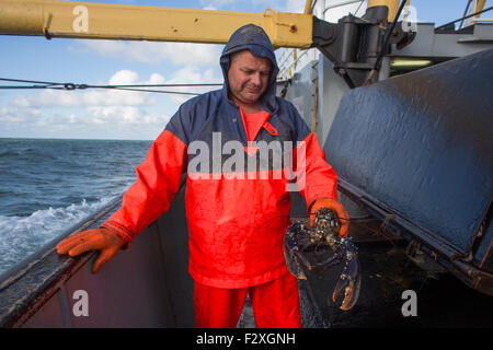 Niederländische Fischereifahrzeug Angeln an der Nordsee für Seezunge und Scholle Stockfoto