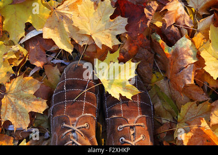 Ahornblätter gelbe und braune Schuhe Stockfoto