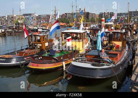 historische Schlepper auf der Sail 2015 in Amsterdam Stockfoto