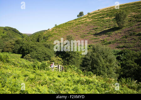 Öffnet ein Tor, nördlich von Levisham, und genießen Sie das Loch des Horcum zu Fuß, North York Moors, Yorkshire, England, UK Stockfoto