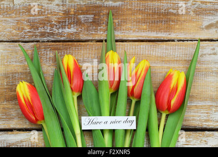 Habe eine schönen Tageskarte mit roten und gelben Tulpen auf rustikalen Holz Stockfoto