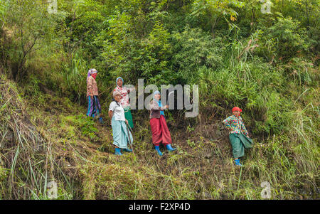 Ambulante Arbeiter klar Vegetation von Seite der Autobahn H229, Arunachal Pradesh, Indien. Stockfoto