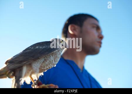 Falconer hält einen barbary Falken auf dem jährlichen Festival de L'epervier (Falconry Festival) in El Haouaria in Tunesien Stockfoto