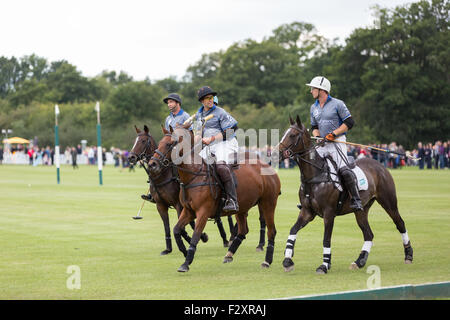 Polopferde im Hurtwood Park Poloclub Stockfoto