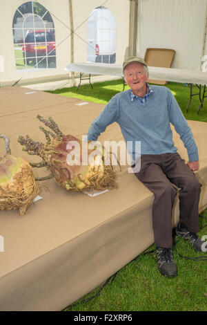 Malvern, Worcestershire, UK. 25. September 2015. Malvern-Herbst-Show in drei Grafschaften Showground - UK Riesen Gemüse Meisterschaften.  Peter Grazebrook e von Newark, die Anzeige seiner Giante Schwede in der Show. Bildnachweis: Ian Thwaites/Alamy Live-Nachrichten Stockfoto