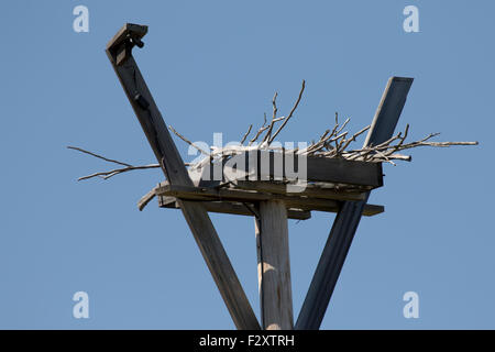 Wild Wild Center in Tupper Lake gehen New York USA Amerika Adirondack State Park Adirondacks Stockfoto