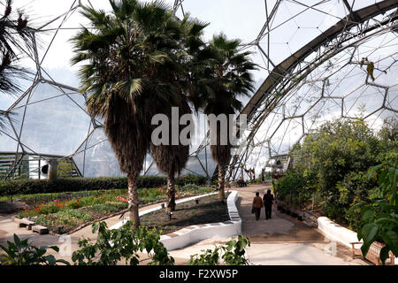 DAS MEDITERRANE BIOM IM EDEN PROJECT. BODELVA CORNWALL UK. Stockfoto