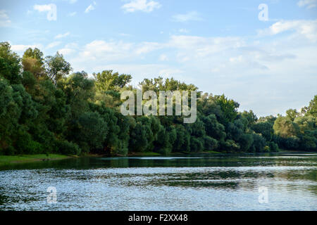 Donau im Sommer in Ungarn Stockfoto