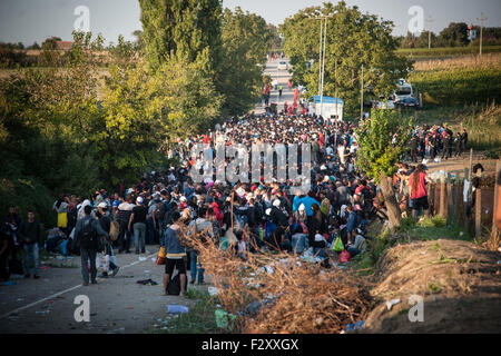 Bapska, Kroatien. 23. Sep, 2015. Eine Gruppe von Flüchtlingen eine Chance für den Grenzübertritt warten. Migranten kommen nach Europa für Asyl und in der Hoffnung auf besseres und friedlichen Leben. © Ivan Romano/Pacific Press/Alamy Live-Nachrichten Stockfoto