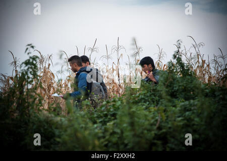 Bapska, Kroatien. 23. Sep, 2015. Flüchtlinge Fuß auf den Weg zu der serbisch-kroatischen Grenze. Migranten kommen nach Europa für Asyl und in der Hoffnung auf besseres und friedlichen Leben. © Ivan Romano/Pacific Press/Alamy Live-Nachrichten Stockfoto