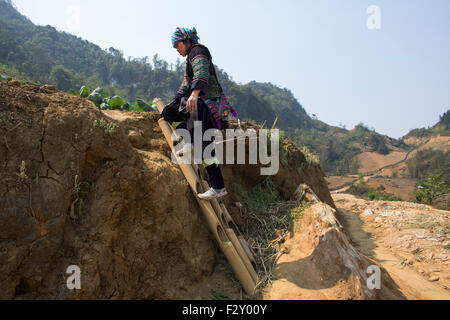 Leiter aus Bambuspfosten in Vietnam aus Stockfoto