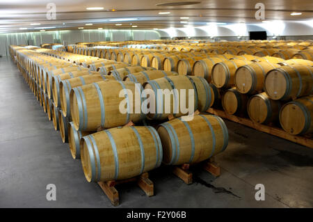 Französische Eiche Fässer im Keller eines französischen Schlosses Stockfoto