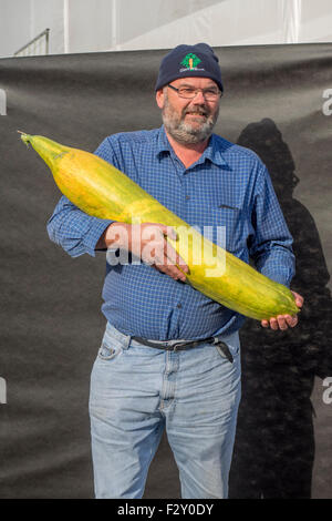 Malvern, Worcestershire, UK. 25. September 2015. Malvern-Herbst-Show in drei Grafschaften Showground - UK Riesen Gemüse Meisterschaften.  David Thomas mit seiner Welt Rekord Gurke mit 12,9 Kg. Bildnachweis: Ian Thwaites/Alamy Live-Nachrichten Stockfoto