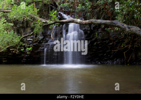 Malerische Aussicht von Twin Falls Wasserfall entlang Hana Highway, Maui, Hawaii im August Stockfoto