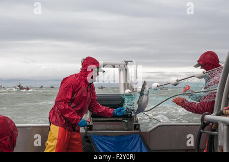 Fallen im Netz für Rotlachs und versucht, Outmanuever das andere Boot.  Naknek River, Bristol Bay, Alaska. Stockfoto