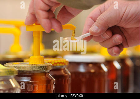 Brno, Tschechische Republik. 25. Sep 2015. Dreitägige internationales Treffen der Imker beginnt in Brno, Tschechische Republik, 25. September 2015. © Vaclav Salek/CTK Foto/Alamy Live-Nachrichten Stockfoto