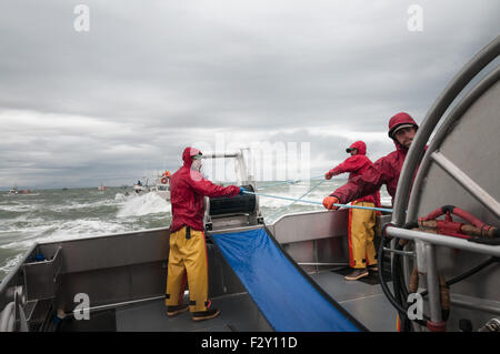 Fallen im Netz für Rotlachs und versucht, Outmanuever das andere Boot.  Naknek River, Bristol Bay, Alaska. Stockfoto