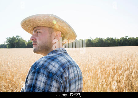 Mann trägt ein kariertes Hemd und Hut steht in einem Maisfeld, ein Bauer. Stockfoto