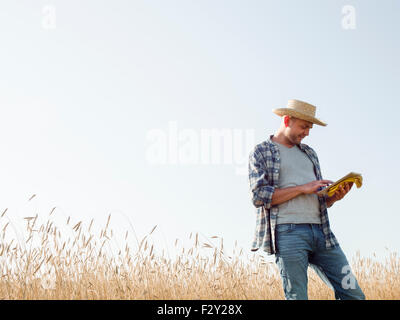 Ein Mann in Arbeitskleidung, Jeans und Strohhut, mit steh-digital-Tablette in einem Maisfeld. Stockfoto