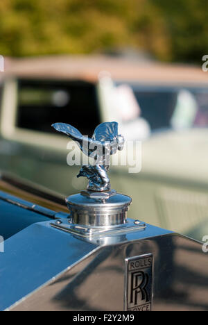 Bild von Auto-Emblem auf einem Rolls Royce Stockfoto