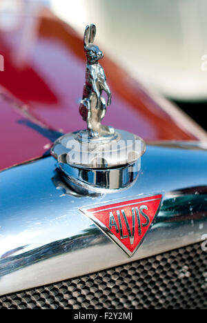 Auto-Emblem - Kaninchen auf einem Oldtimer Alvis Stockfoto