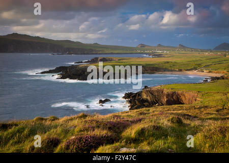 Abend von Sonnenlicht über Ballyferriter Bay, Sybil Point und den Gipfeln der drei Schwestern, Halbinsel Dingle, County Kerry, Irland Stockfoto