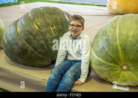 Malvern, Worcestershire, UK. 25. September 2015. Malvern-Herbst-Show in drei Grafschaften Showground - UK Riesen Gemüse Meisterschaften.  Jamie Courtney - 40 mit der riesigen Kürbisse trat in der Show. Bildnachweis: Ian Thwaites/Alamy Live-Nachrichten Stockfoto