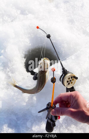 Angeln an der Ostsee Stockfoto