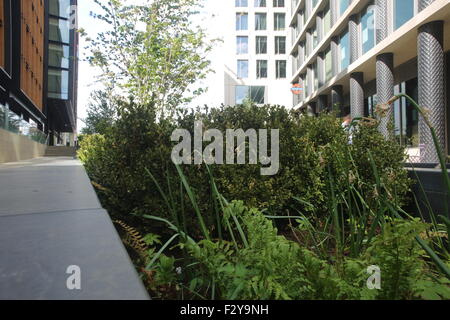 Pancras Square & Cubitt Square, St Pancras, London Stockfoto