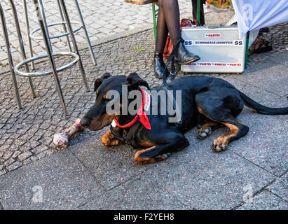 Berlin Veteranenstrasse Street Party - Street-Veteran Fest Stockfoto