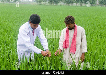 2 indische Arzt und ländlichen Bauern Farm Pflanzen Checking Stockfoto