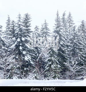 Winterlandschaft in der Nähe von Vogel-Ski-Zentrum in Bergen Julischen Alpen, Slowenien Stockfoto