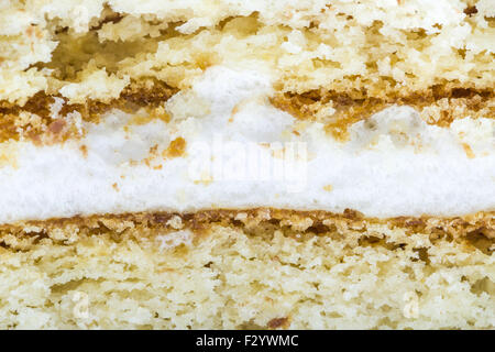 Layer Cake mit Sperma Stockfoto