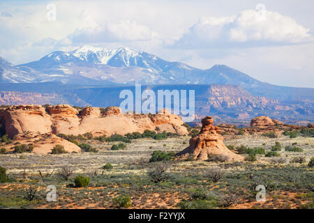 Mt Waas und Bögen Plateau Blick auf den Park in den USA Stockfoto