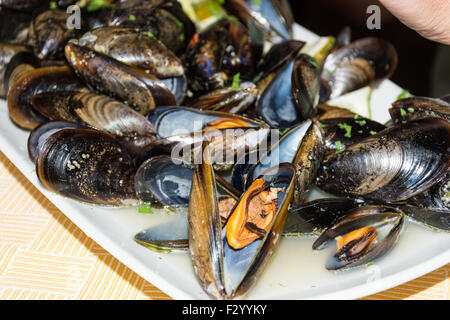 Ein Gericht aus Muscheln Bilder mit Tomatensauce, offen, bereit um zu essen, in einer Tabelle zu verbreiten. Stockfoto