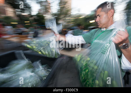 Stadt-Ernte Freiwilligen Bret Jacknow sammelt unverkauften Produkten hinterließ der Bauernmarkt am Union Square 16. September 2015 in New York City. Die frische Produkte ist für arme Familien in der Stadt Harvest Food Bank geliefert. Stockfoto