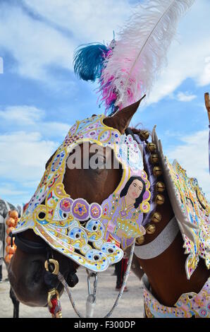 Pferd in Tracht, Caravaca De La Cruz Stockfoto