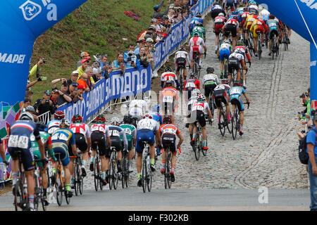 RICHMOND, VIRGINIA, 26. September 2015. Während die 130 Kilometer lange 2015 Junior Men UCI Road World Championship Rennen der Junioren Bereich Angriffe am Ende der gepflasterten Straße 23. Klettern in Richmond, Virginas Kirchhügel Nachbarschaft. Bildnachweis: Ironstring/Alamy Live-Nachrichten Stockfoto