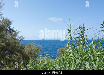 Vogel-Insel Filfla südlich von Malta im Mittelmeer, umgeben von grünen Schilf an einem sonnigen Tag im September in Malta. Stockfoto