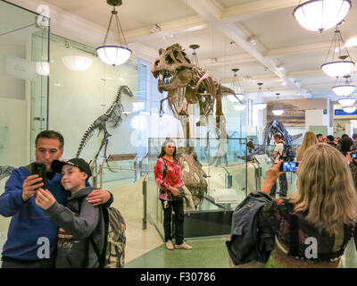 American Museum of Natural History, New York Stockfoto