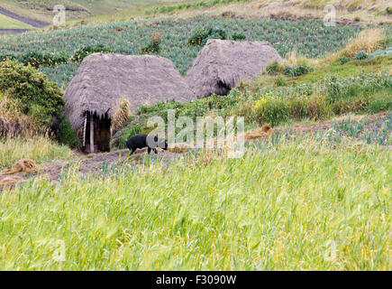 Lokalen indigenen Heimat in den Anden in der Nähe von Laguna Quilotoa, Ecuador. Stockfoto