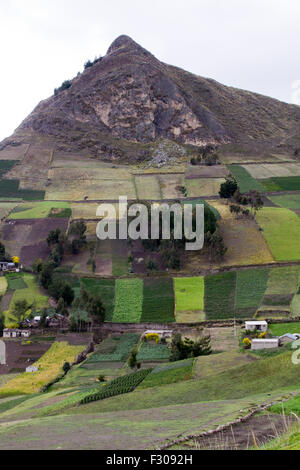 Indigene Ackerland im Anden-Gebirge in der Nähe von Laguna Quilotoa, Ecuador. Stockfoto