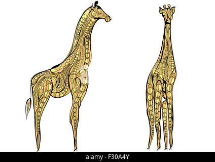 zwei Giraffen. Stockfoto